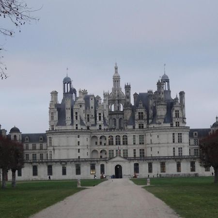 Gite Le Cerf Solognot Proche Chateau Chambord, Lamotte Beuvron 伯夫龙河畔讷安 外观 照片