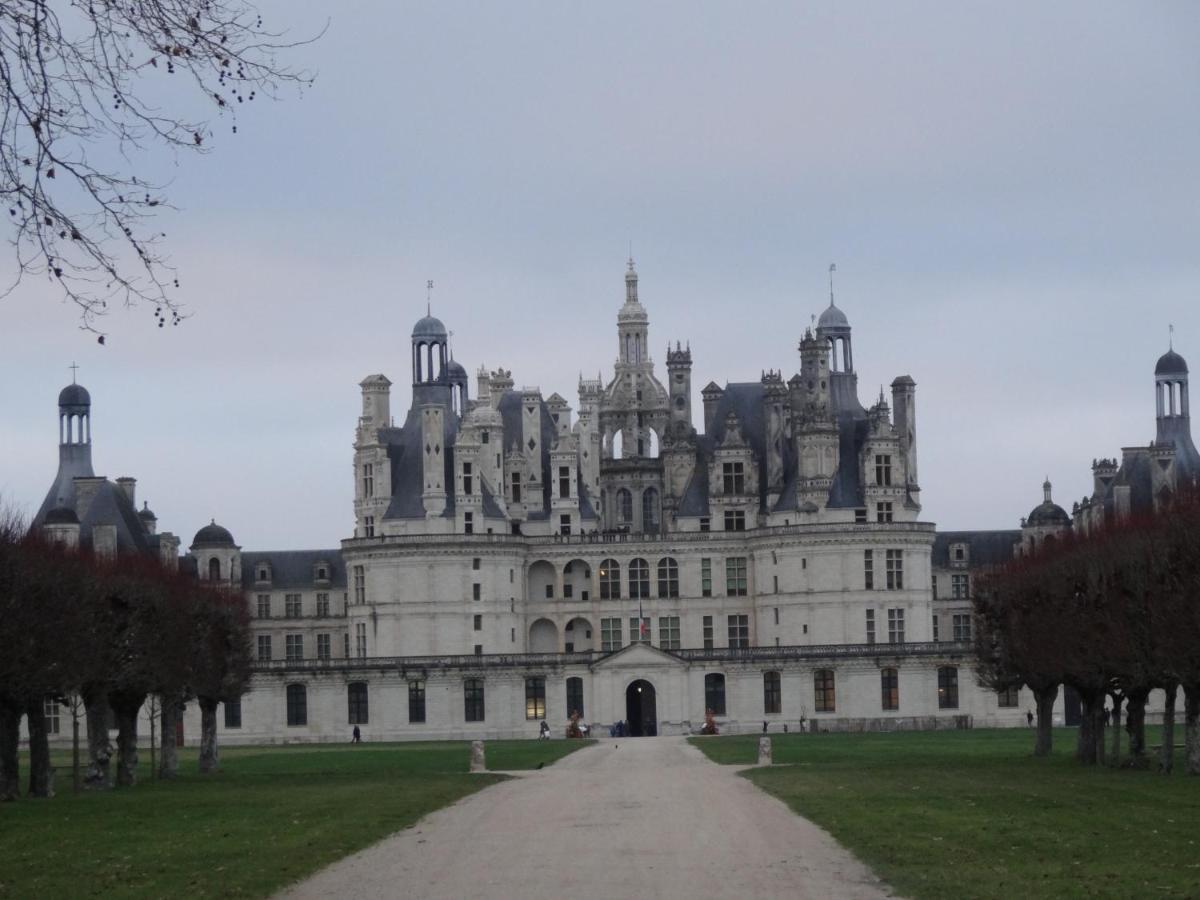 Gite Le Cerf Solognot Proche Chateau Chambord, Lamotte Beuvron 伯夫龙河畔讷安 外观 照片