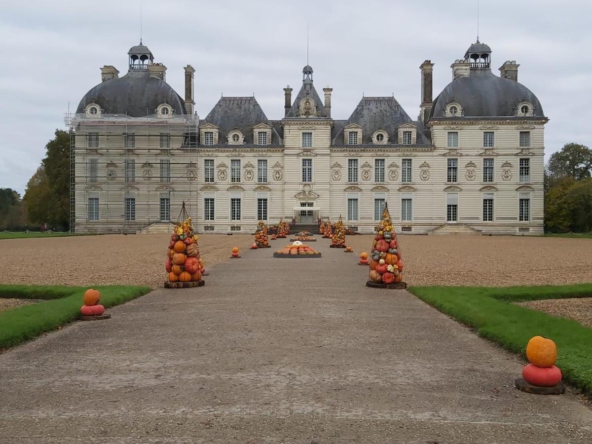 Gite Le Cerf Solognot Proche Chateau Chambord, Lamotte Beuvron 伯夫龙河畔讷安 外观 照片
